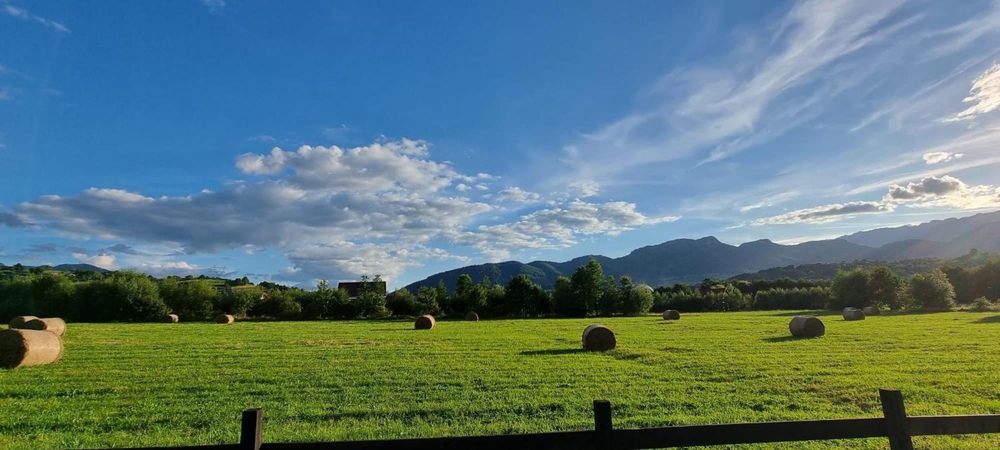 Joy Resort Bran Bran  Bagian luar foto